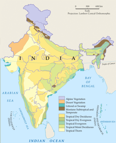 Natural Vegetation Of India 